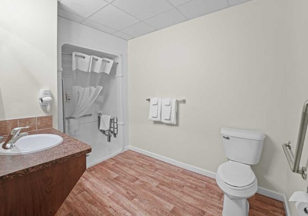 Guest room accessible shower Guest room accessible shower
