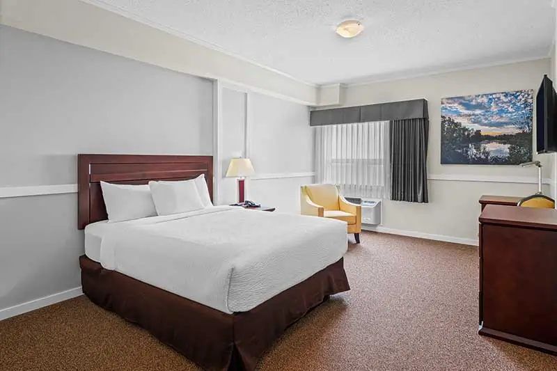 Guest room queen bed