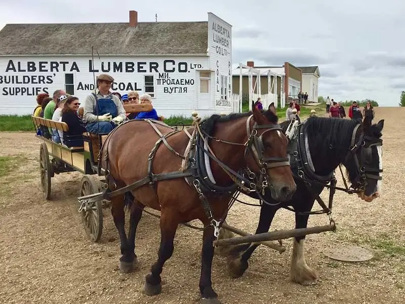 Horseride at Ukrainian Cultural Village