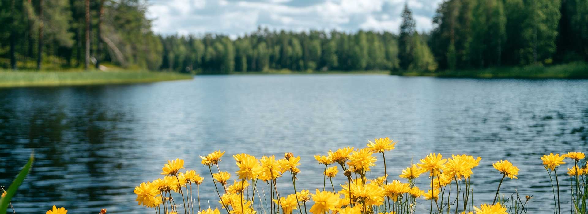Summer at Elk Island National Park, Alberta